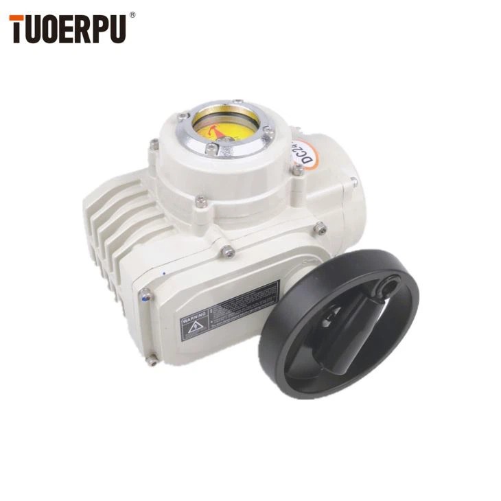 Worm Gear Actuator