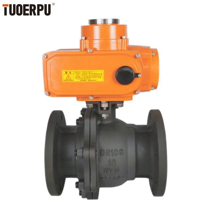 Steam Control Valves with Electric Actuators