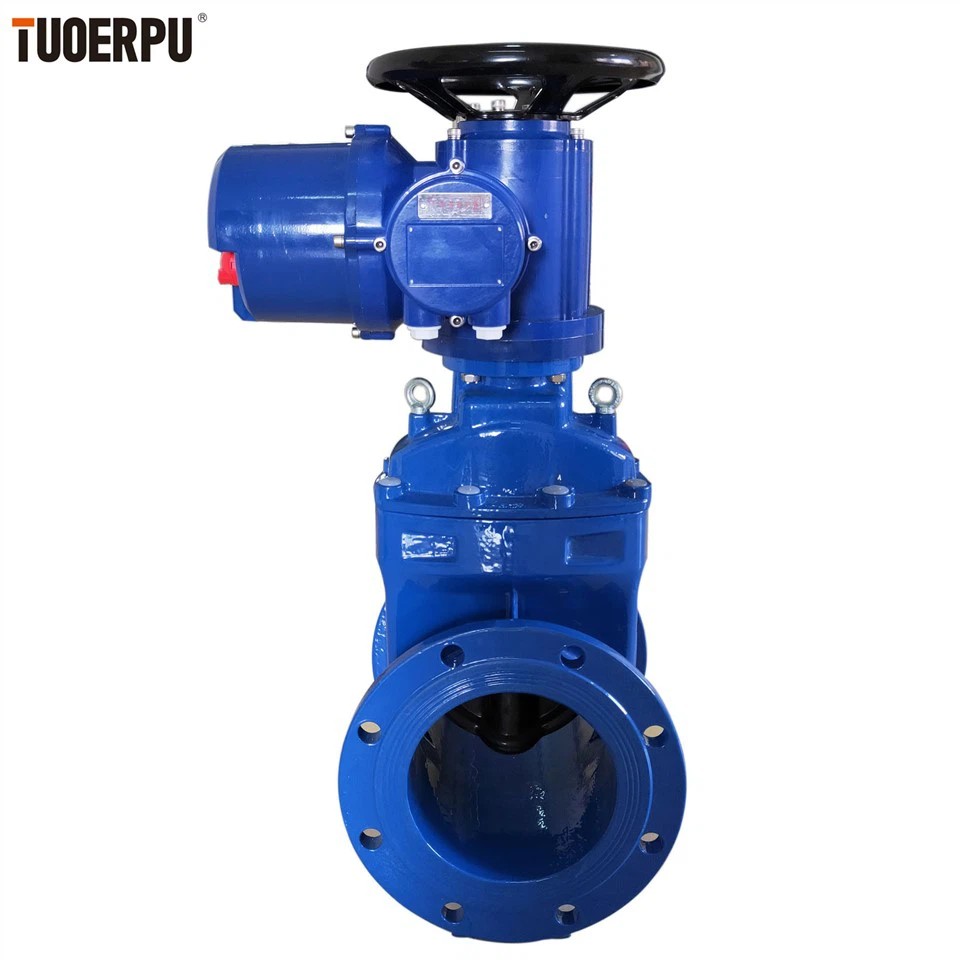 Gate Valve Pn 10 Dn 300